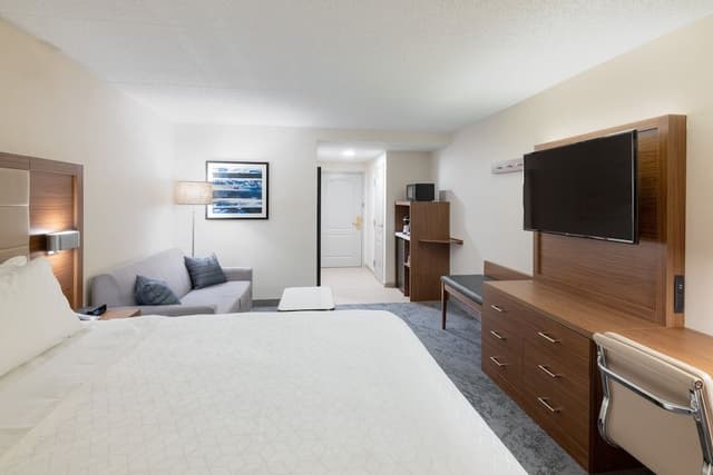 Standard Room, 1 King Bed with Sofa bed