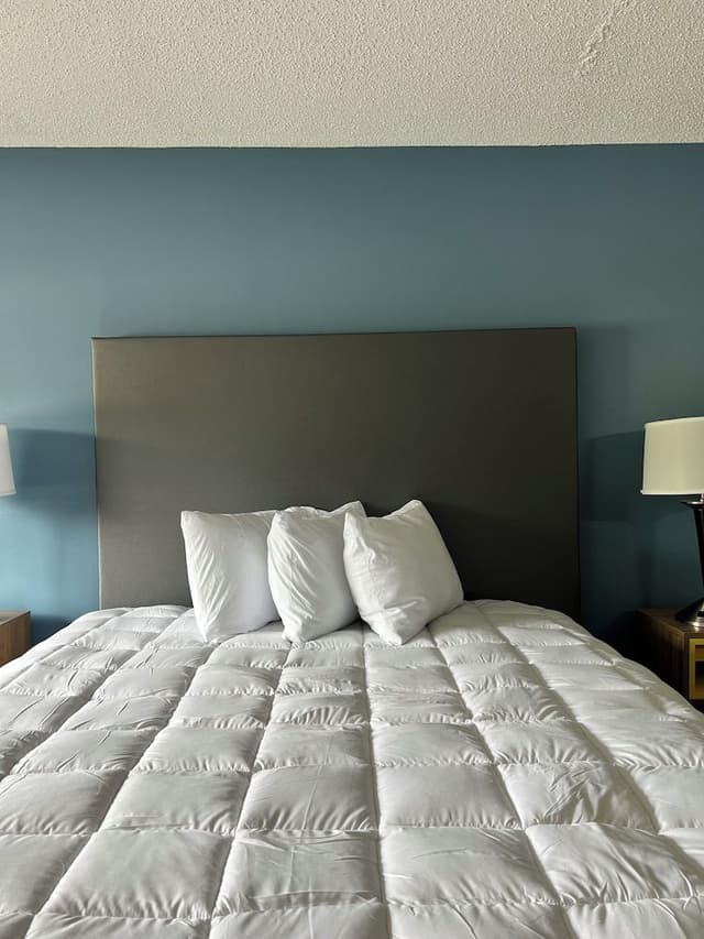 Basic Single Room, 1 King Bed, Non Smoking