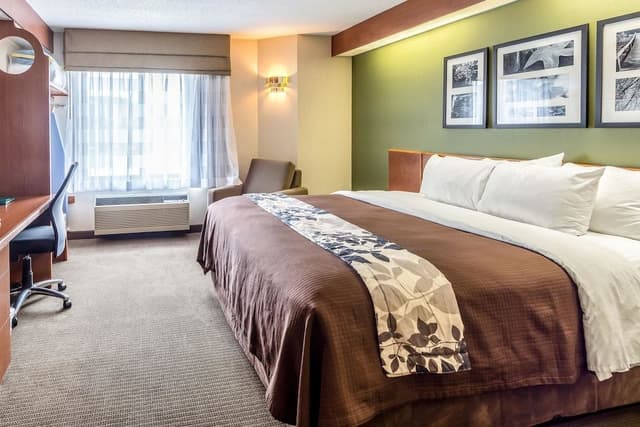 Standard Room, 1 King Bed, Non Smoking, Bay View