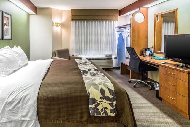 Standard Room, 1 King Bed, Non Smoking, Bay View