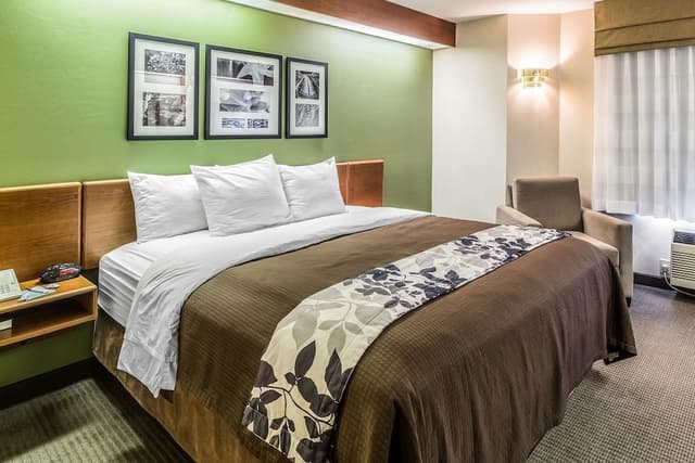 Standard Room, 1 King Bed, Non Smoking, Bay View