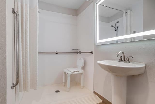 Suite, 1 King Bed with Sofa bed, Accessible, Non Smoking (Roll-In Shower)