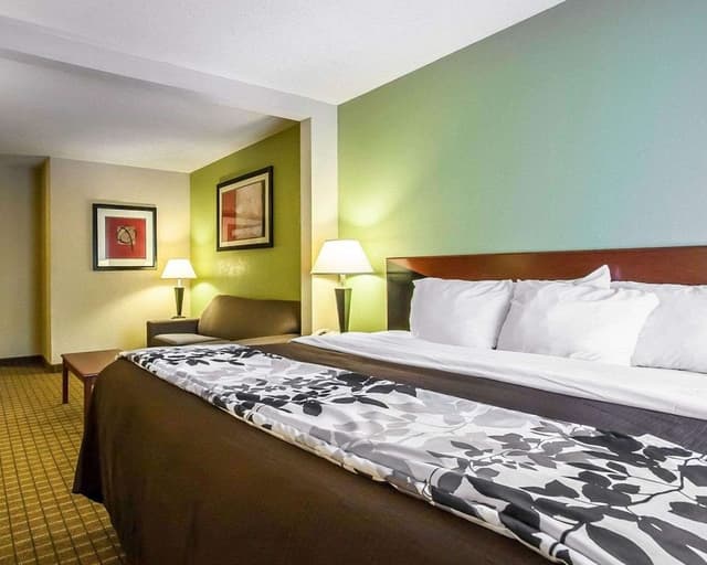 Room, 1 King Bed, Non Smoking