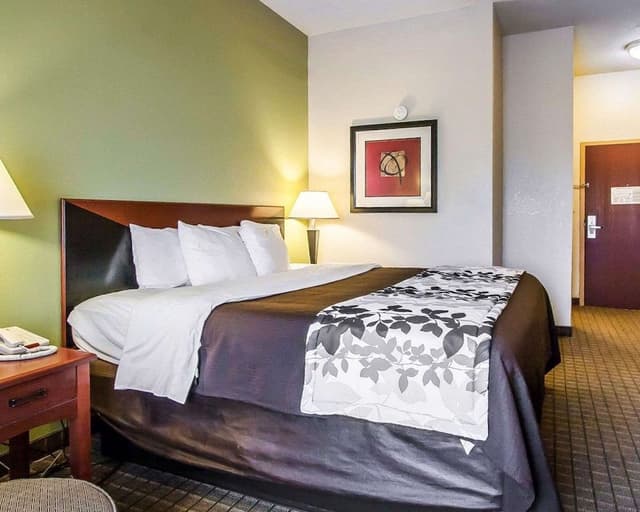 Standard Room, 1 King Bed, Non Smoking