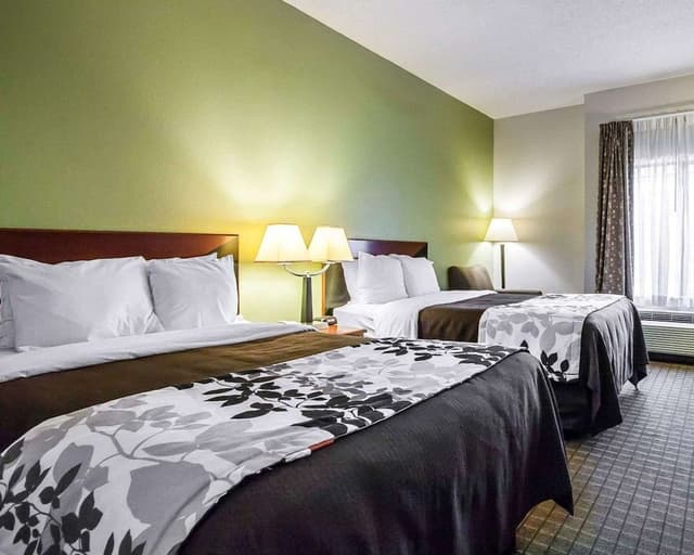 Standard Double Room, 2 Double Beds, Non Smoking