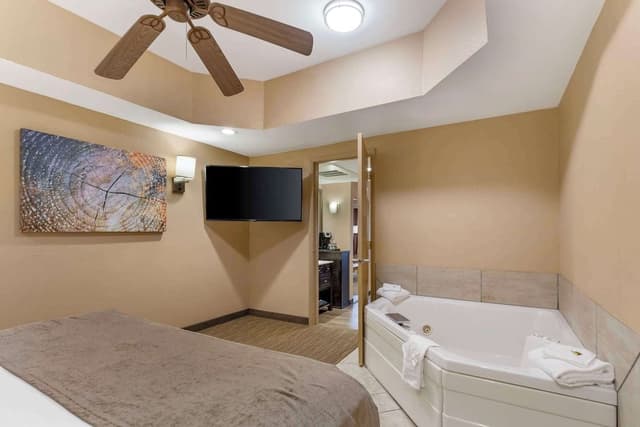 Suite, 1 King Bed, Non Smoking, Jetted Tub (with Sofabed)