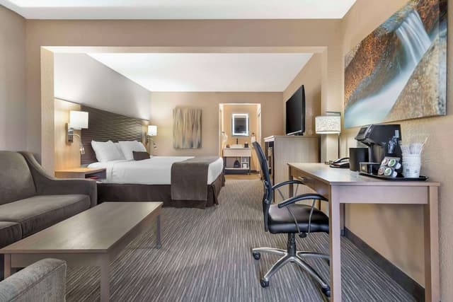 Suite, 1 King Bed, Non Smoking (Larger Room;with Sofabed)