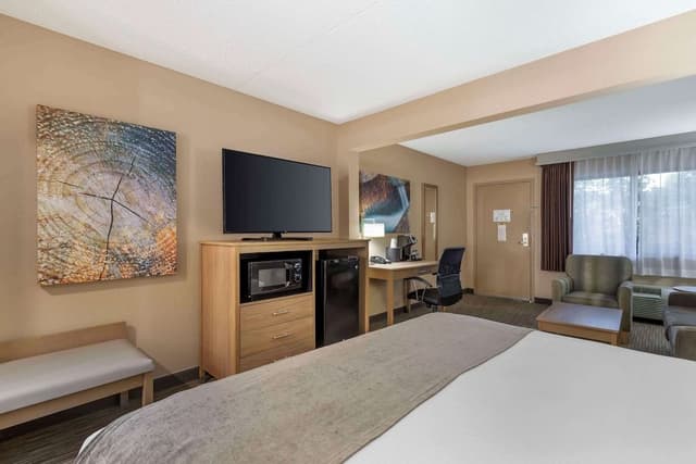Suite, 1 King Bed, Non Smoking (Larger Room;with Sofabed)