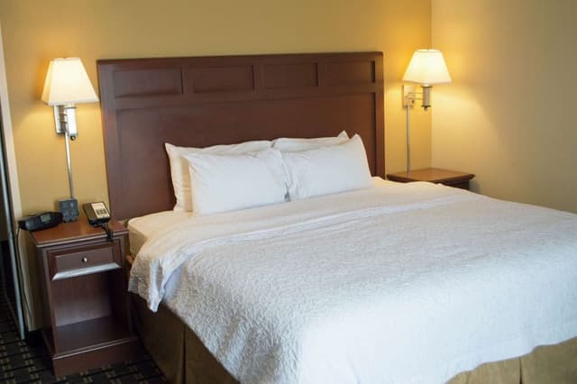 Room, 1 King Bed, Accessible, Non Smoking