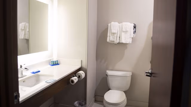 Suite, 1 King Bed