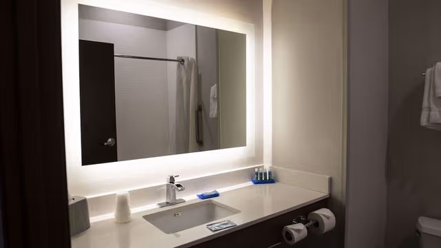 Suite, 1 King Bed, Accessible (Communications Accessible)