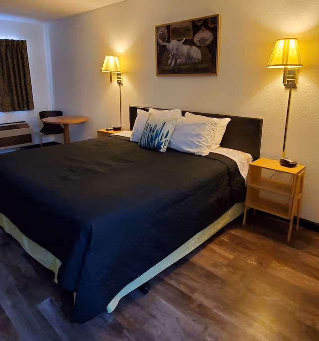 Standard Room, 1 King Bed, Non Smoking
