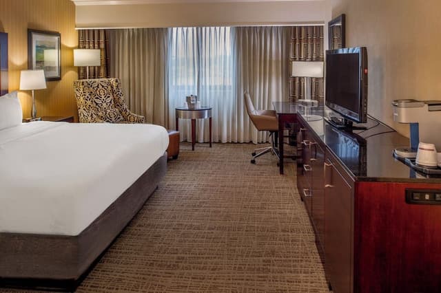 Room, 1 King Bed (Roll-In Shower)