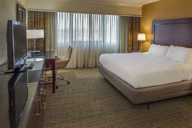Room, 1 King Bed (Roll-In Shower)