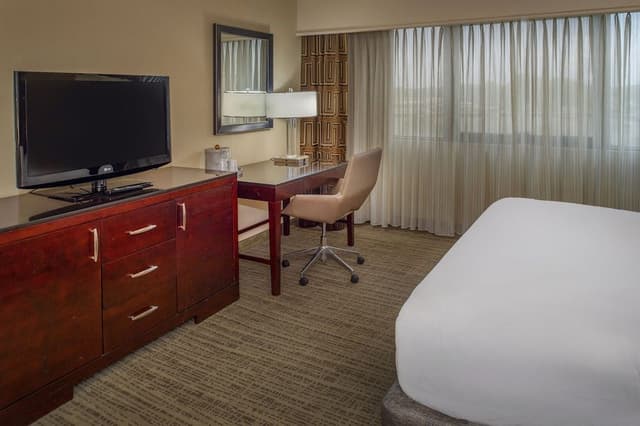 Room, 1 King Bed (Roll-In Shower)