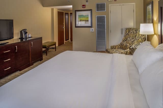 Room, 1 King Bed (Roll-In Shower)