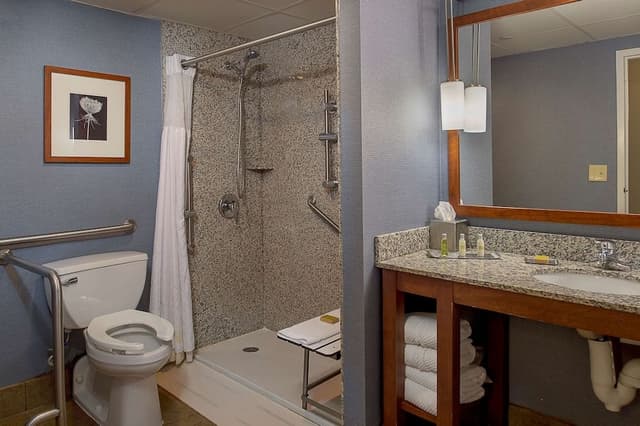 Room, Accessible, Non Smoking (2 Queen Beds)