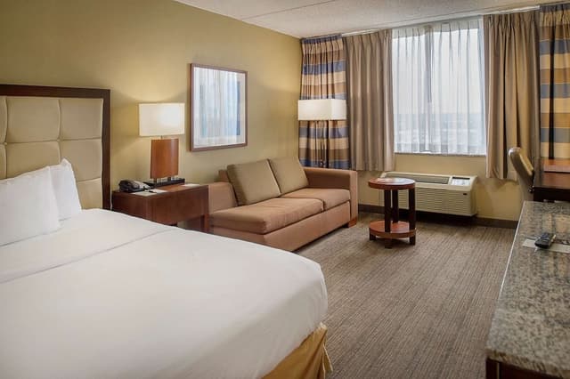 Deluxe Room, 1 King Bed with Sofa bed