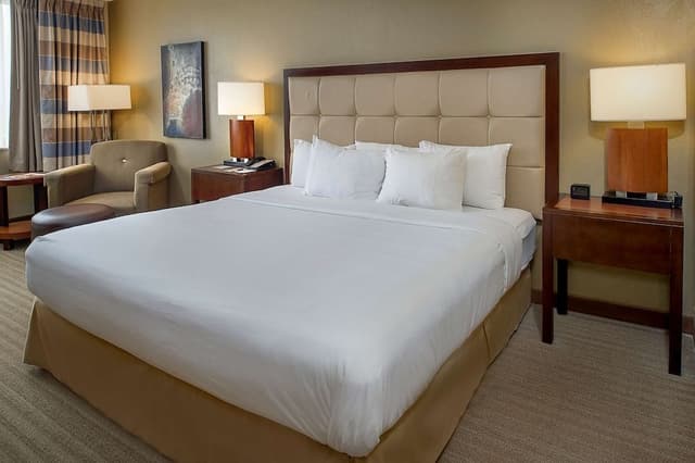 Room, 1 King Bed, Accessible, Non Smoking