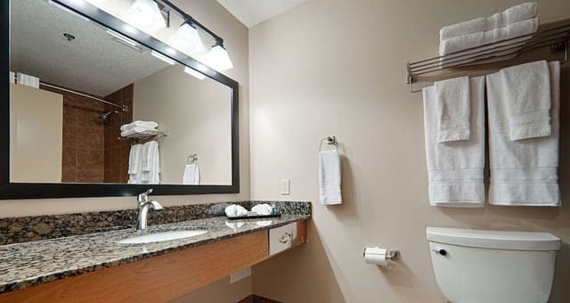 Standard Room, 1 King Bed, Non Smoking, Jetted Tub