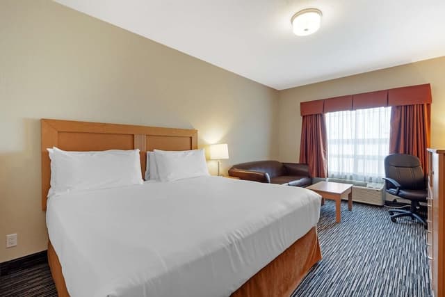 Standard Room, 1 King Bed, Non Smoking (No Pets in room type)