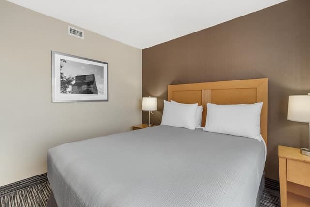 Suite, 1 Queen Bed, Non Smoking, Kitchenette (No Pets in room type)