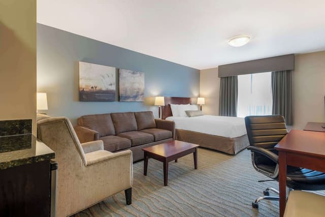 Suite, 1 King Bed, Non Smoking, Refrigerator & Microwave (with Sofabed)