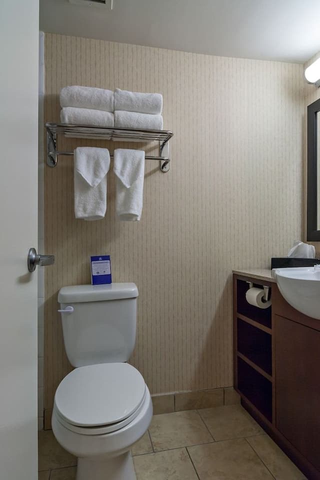 Executive Room, 1 King Bed, Non Smoking, Refrigerator & Microwave
