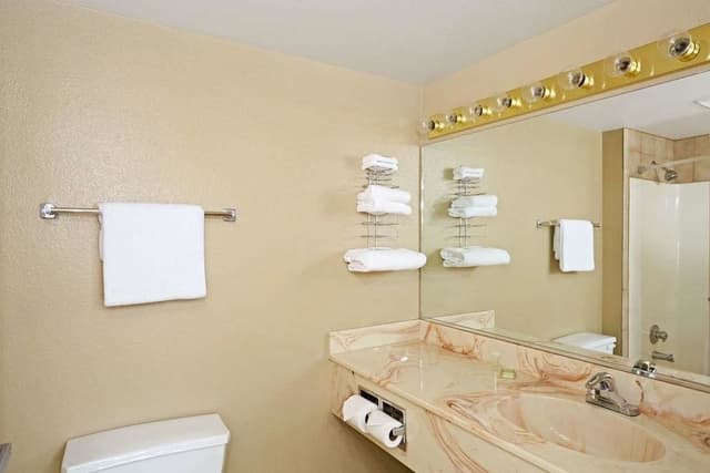 Room, 1 King Bed, Non Smoking