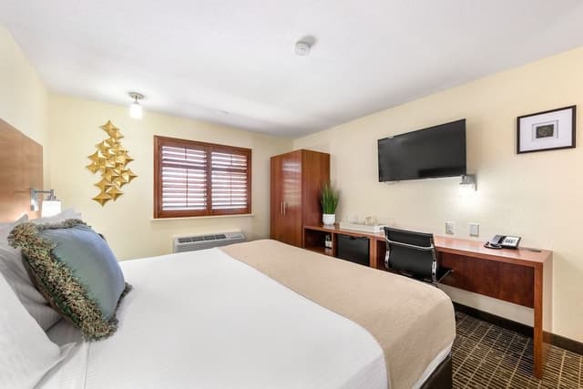 Standard Room, 1 King Bed, Accessible