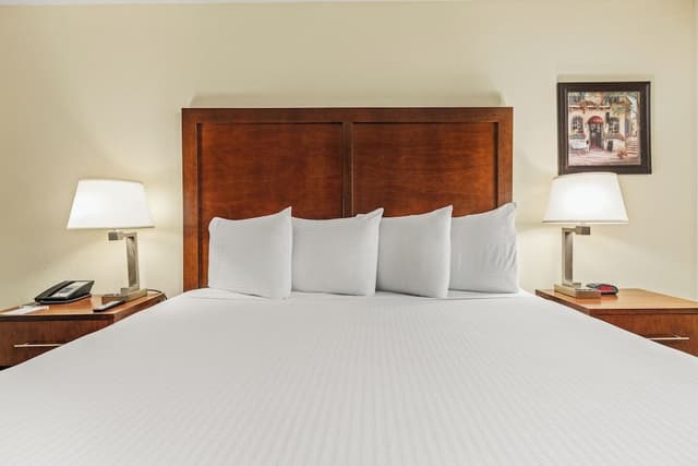 Standard Room, 1 King Bed, Accessible