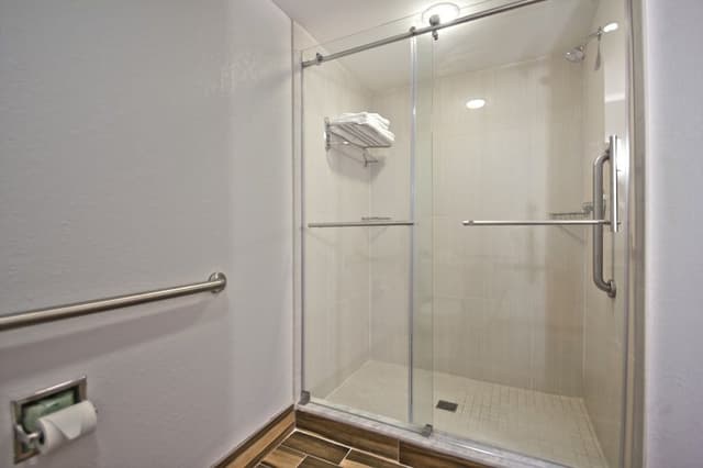Standard Room, 1 King Bed (Walk-In Shower)