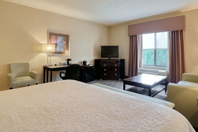 Room, 1 King Bed