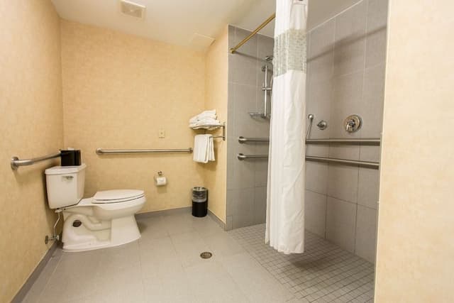 Room, 1 King Bed, Accessible, Non Smoking