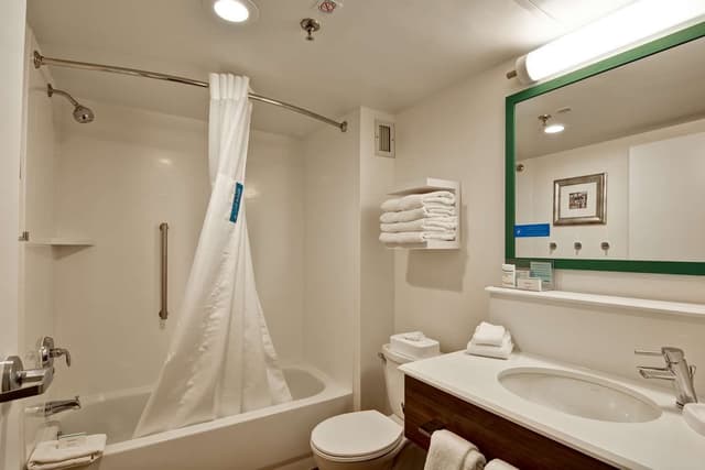 1 QUEEN MOBILITY ACCESS W/TUB NONSMOKING