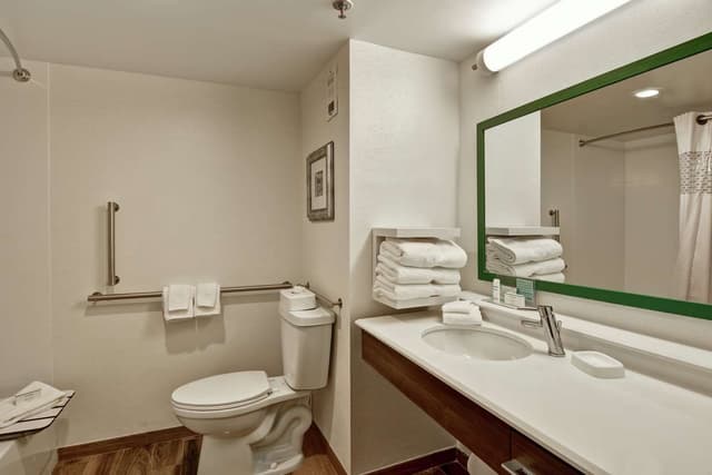 1 QUEEN MOBILITY ACCESS W/TUB NONSMOKING