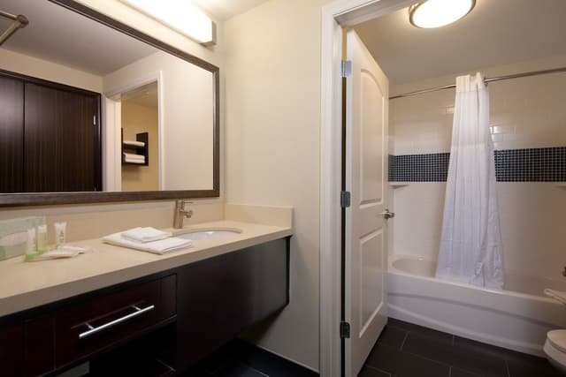 Suite, 1 Bedroom, Accessible, Kitchen (Communications)