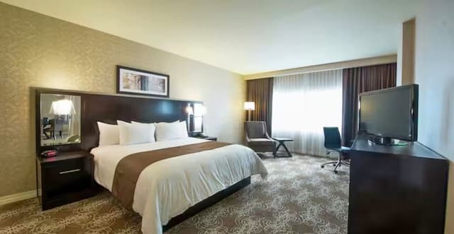 Room, 1 King Bed (Mobility & Hearing, Roll-in Shower) Sleeps 2