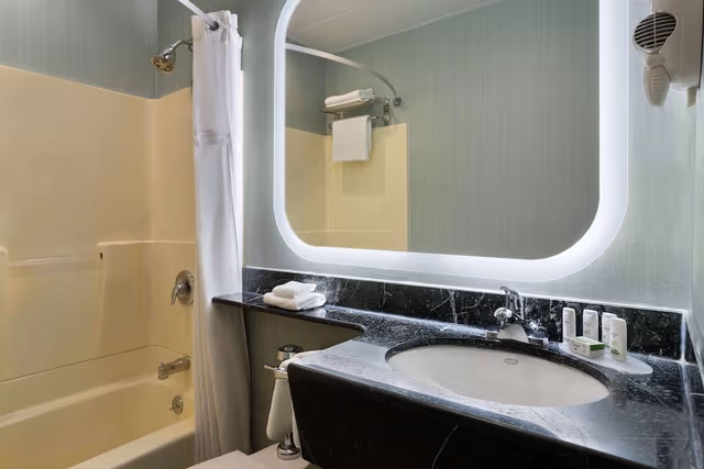 Studio Suite, 1 King Bed, Non Smoking