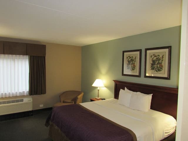 Deluxe Room, 1 King Bed