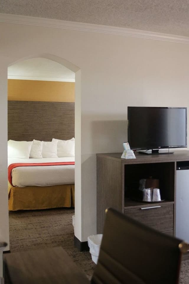 Suite, 1 King Bed, Non Smoking, Kitchenette (with Sofabed)
