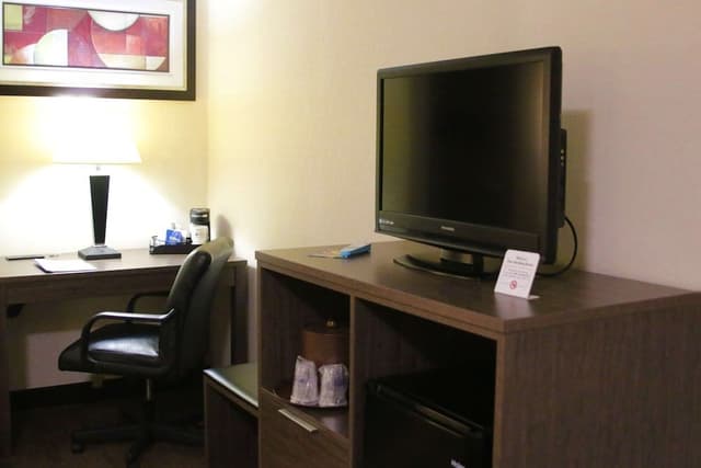 Suite, 1 King Bed, Non Smoking, Kitchenette (with Sofabed)