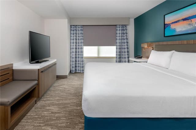 1 KING BED JUNIOR SUITE WITH SOFABED