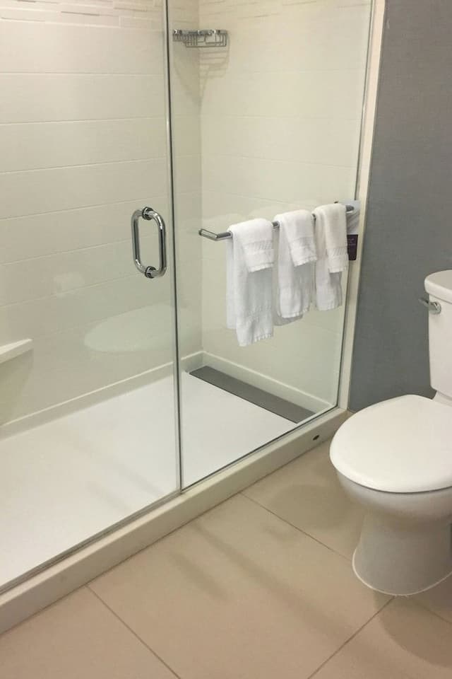 Suite, 1 Bedroom