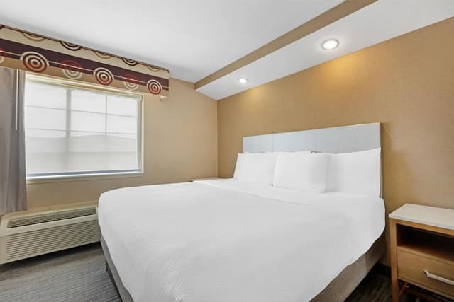 Standard Room, 1 King Bed, Accessible, Non Smoking
