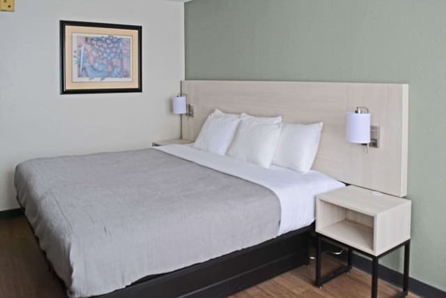 Standard Room, 1 King Bed, Non Smoking