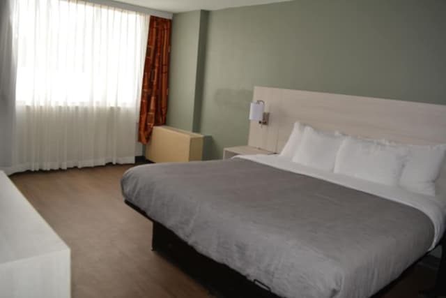 Standard Room, 1 King Bed, Non Smoking