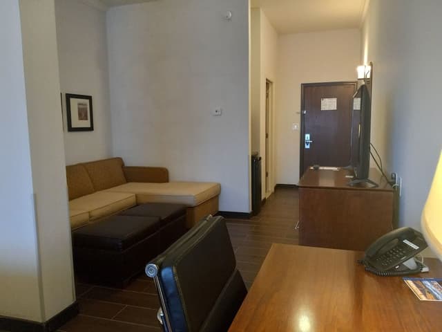 Suite, 1 King Bed with Sofa bed, Non Smoking (Pet Friendly)