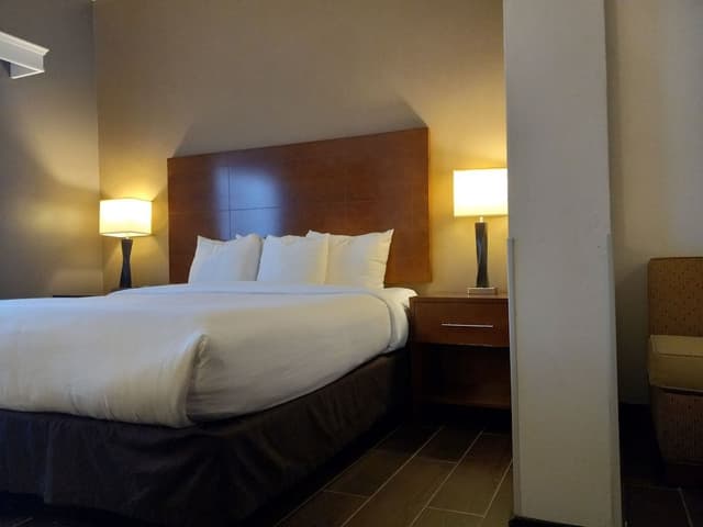 Suite, 1 King Bed with Sofa bed, Non Smoking (Pet Friendly)