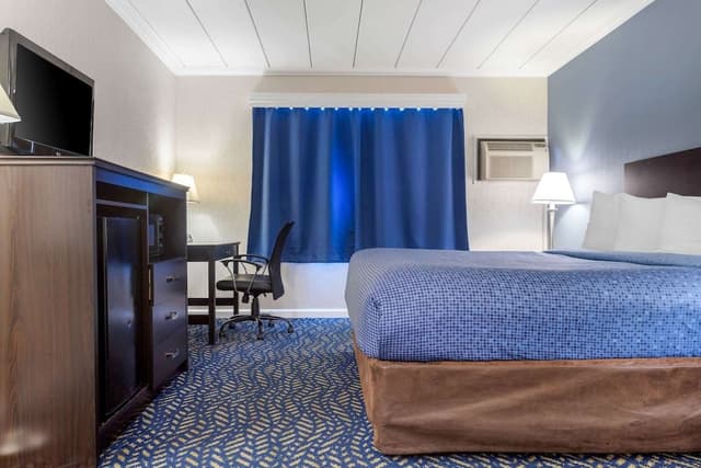 Room, 1 King Bed, Accessible, Non Smoking